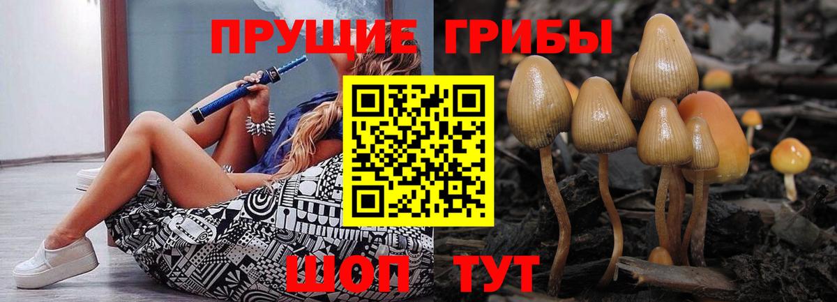 Псилоцибиновые грибы Magic Shrooms  Псилоцибиновые грибы прущие грибы  Острогожск  Вход с VPN 