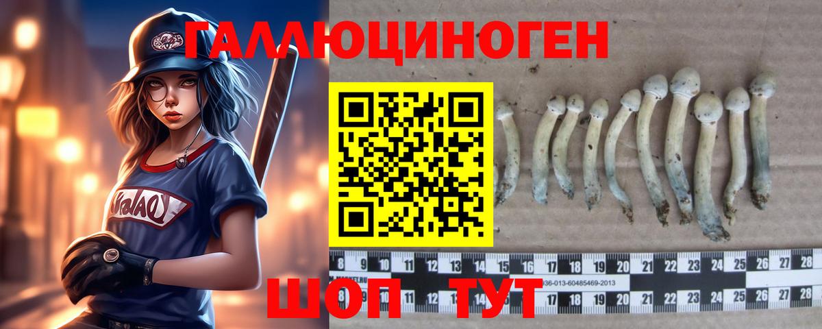 Псилоцибиновые грибы Psilocybe Острогожск